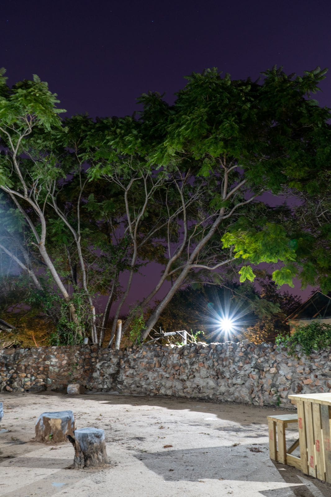 Dumela Lodge & Tented Camp 营地实景