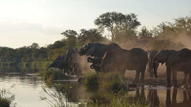 Hoyo Hoyo Safari Lodge 营地实景