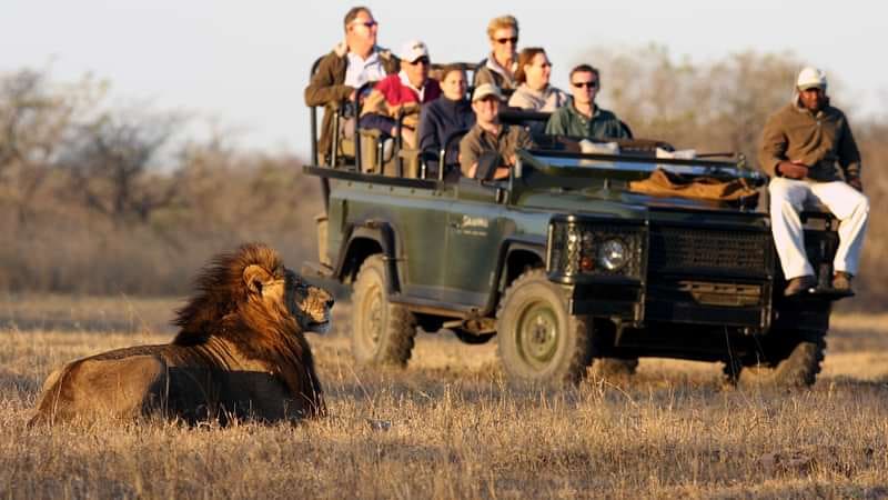 Hoyo Hoyo Safari Lodge 营地实景