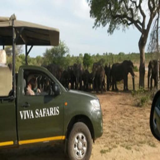 Katekani Tented Lodge 营地实景