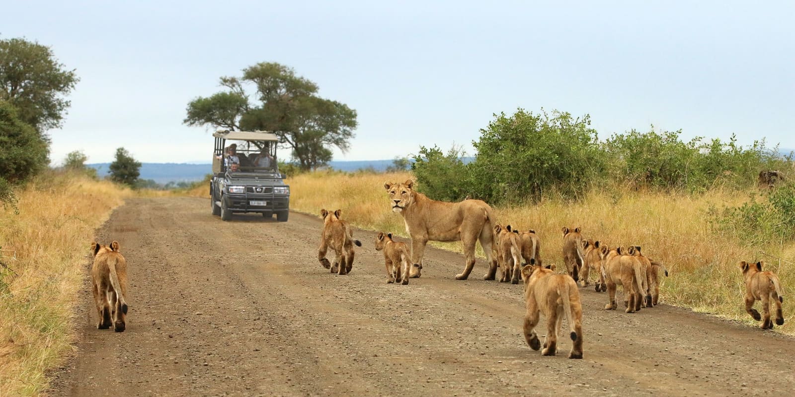 Kruger Adventure Lodge 营地实景