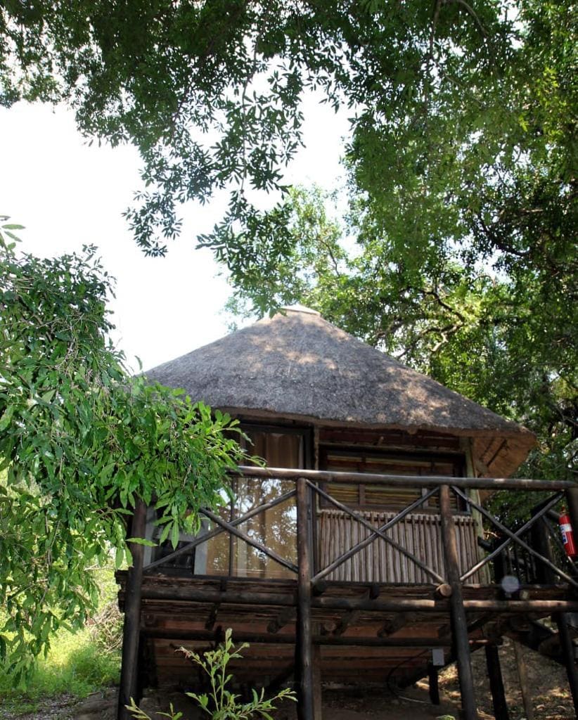 Marc's Treehouse Lodge 营地实景