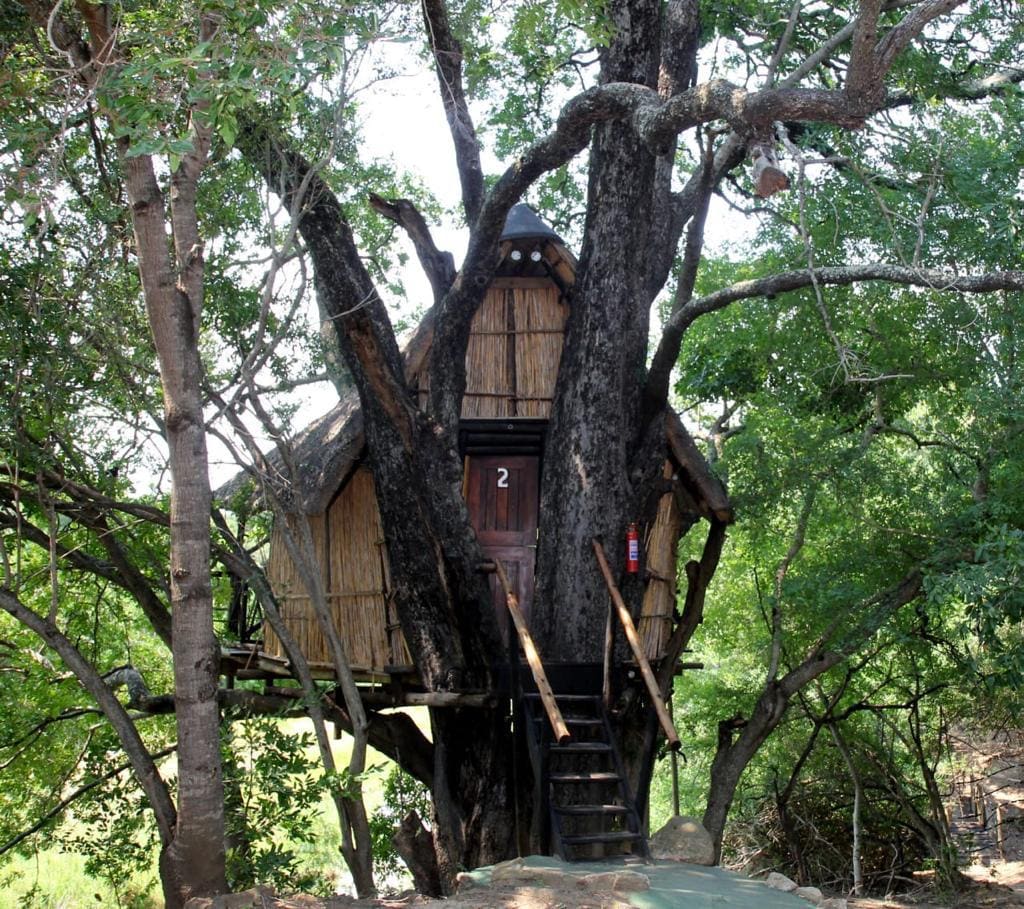 Marc's Treehouse Lodge 营地实景