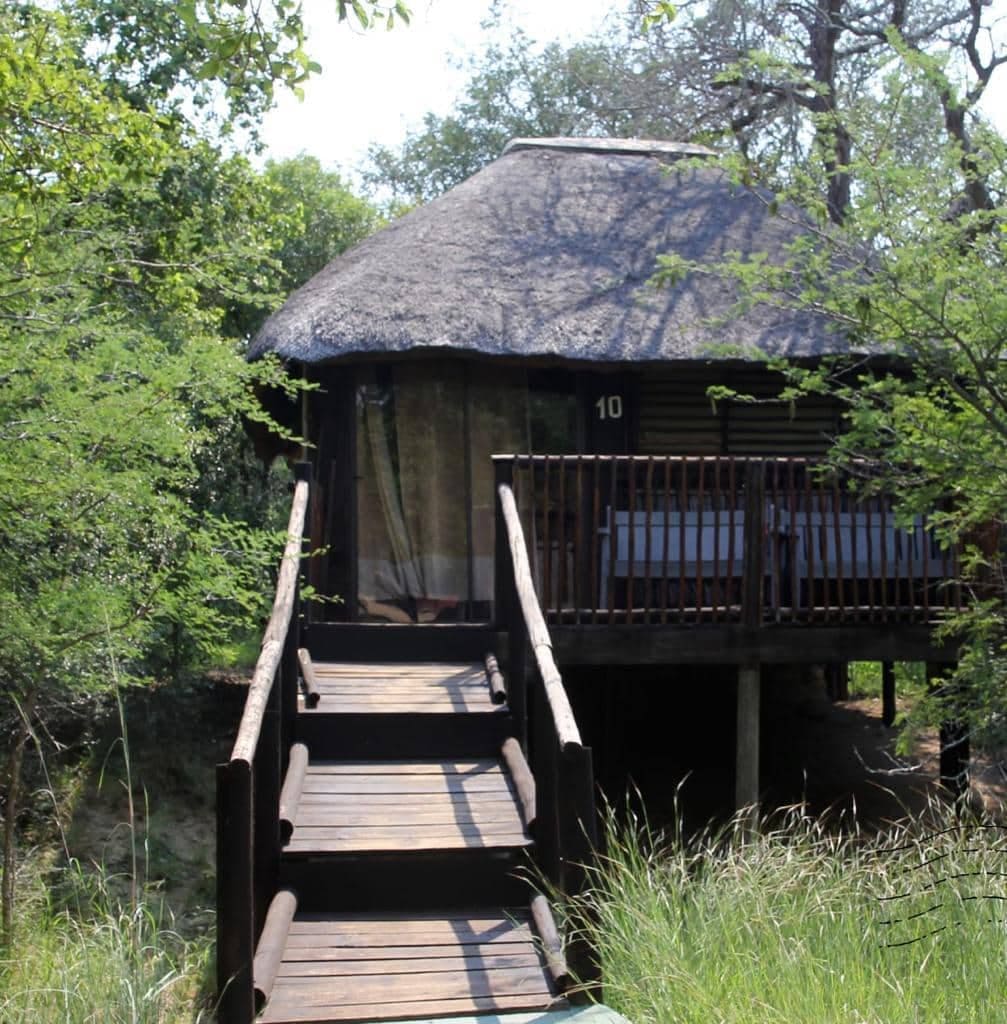 Marc's Treehouse Lodge 营地实景