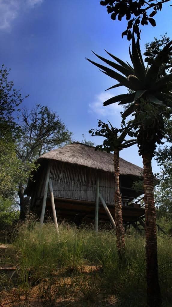 Marc's Treehouse Lodge 营地实景