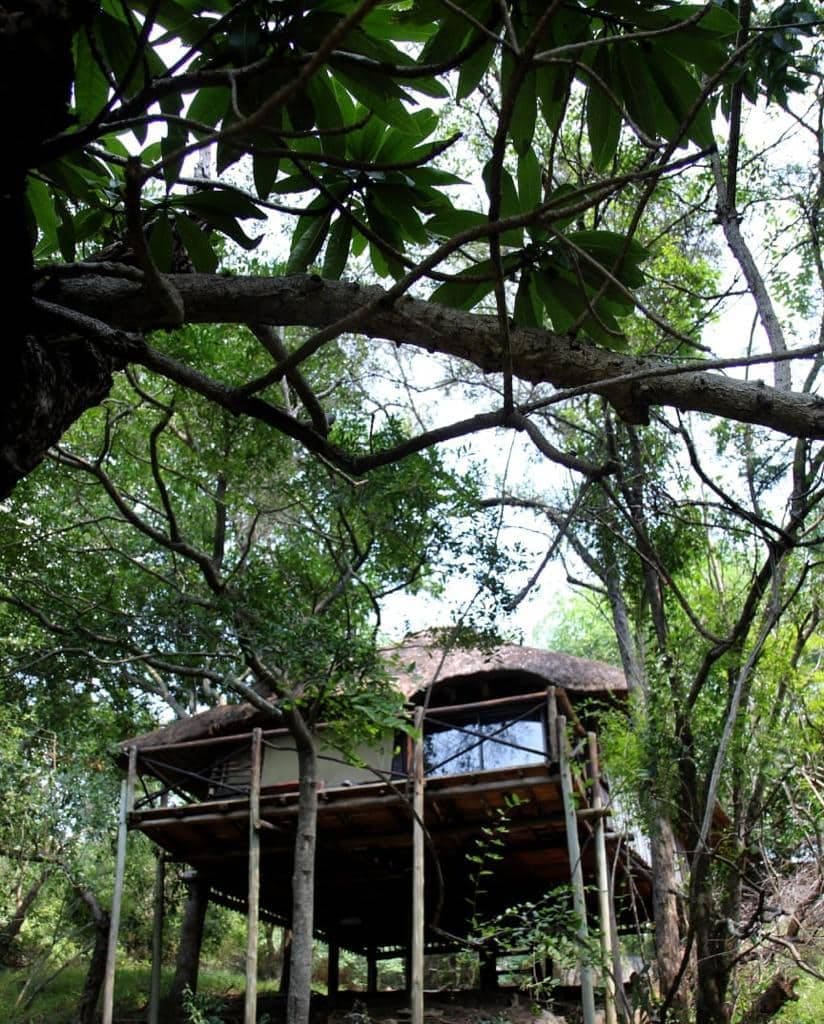 Marc's Treehouse Lodge 营地实景