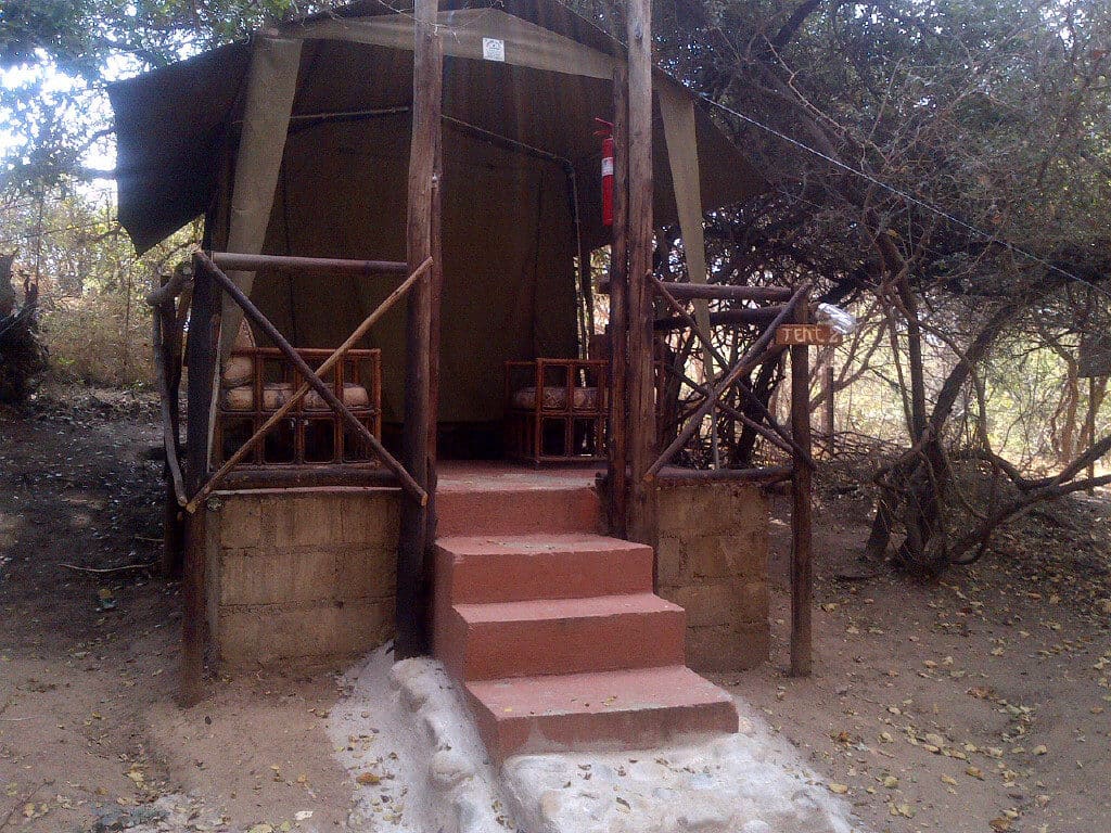 Marc's Treehouse Lodge 营地实景