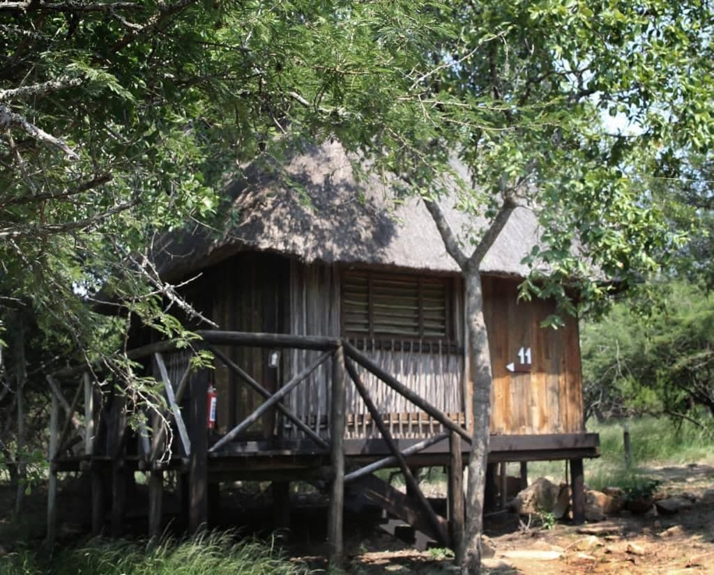 Marc's Treehouse Lodge 营地实景