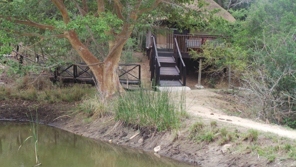 Marc's Treehouse Lodge 营地实景
