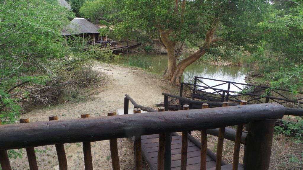 Marc's Treehouse Lodge 营地实景