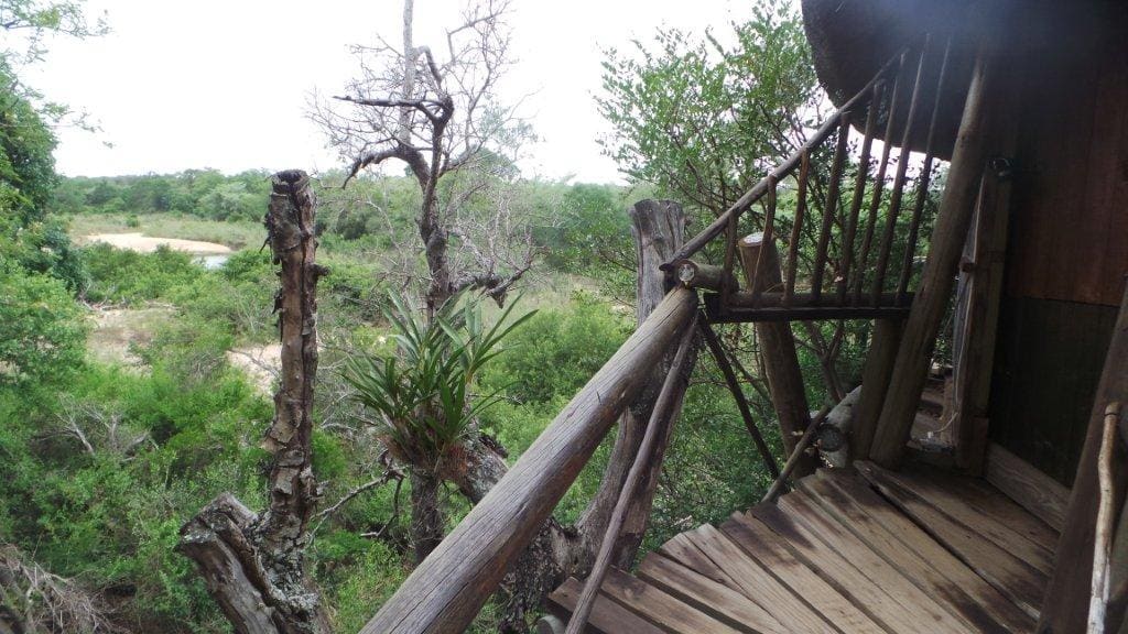 Marc's Treehouse Lodge 营地实景