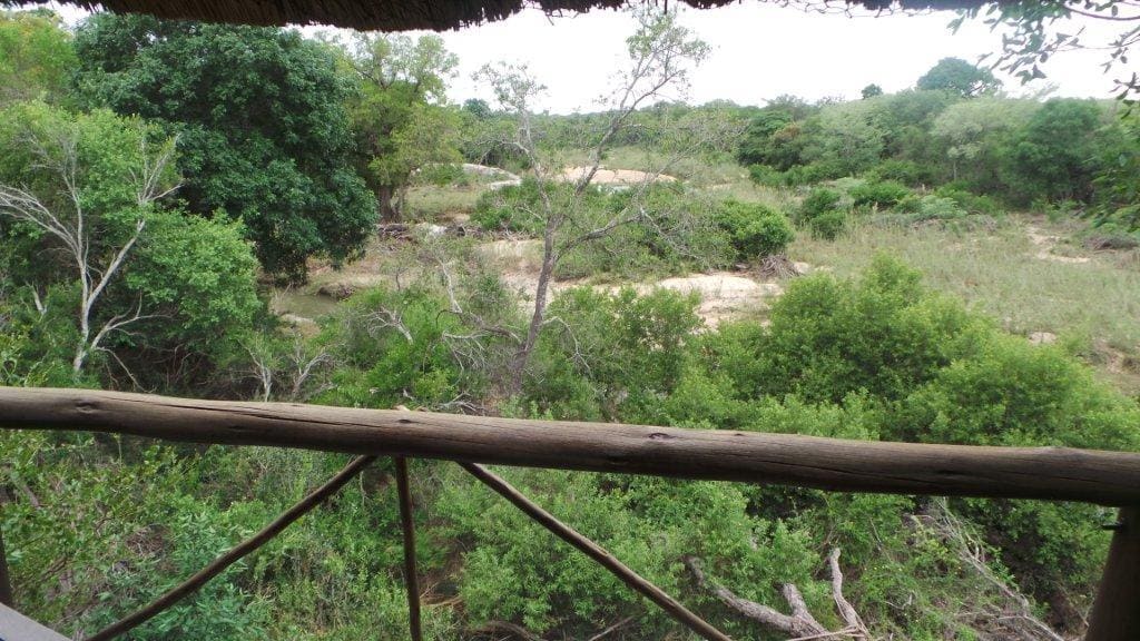 Marc's Treehouse Lodge 营地实景