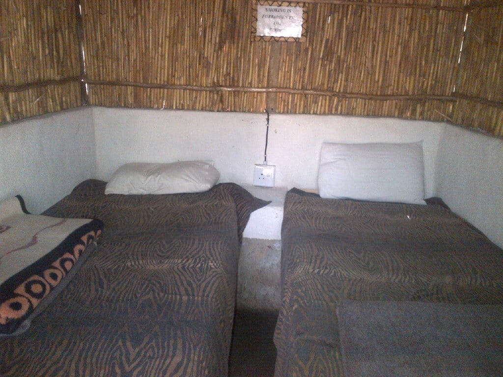Marc's Treehouse Lodge 营地实景