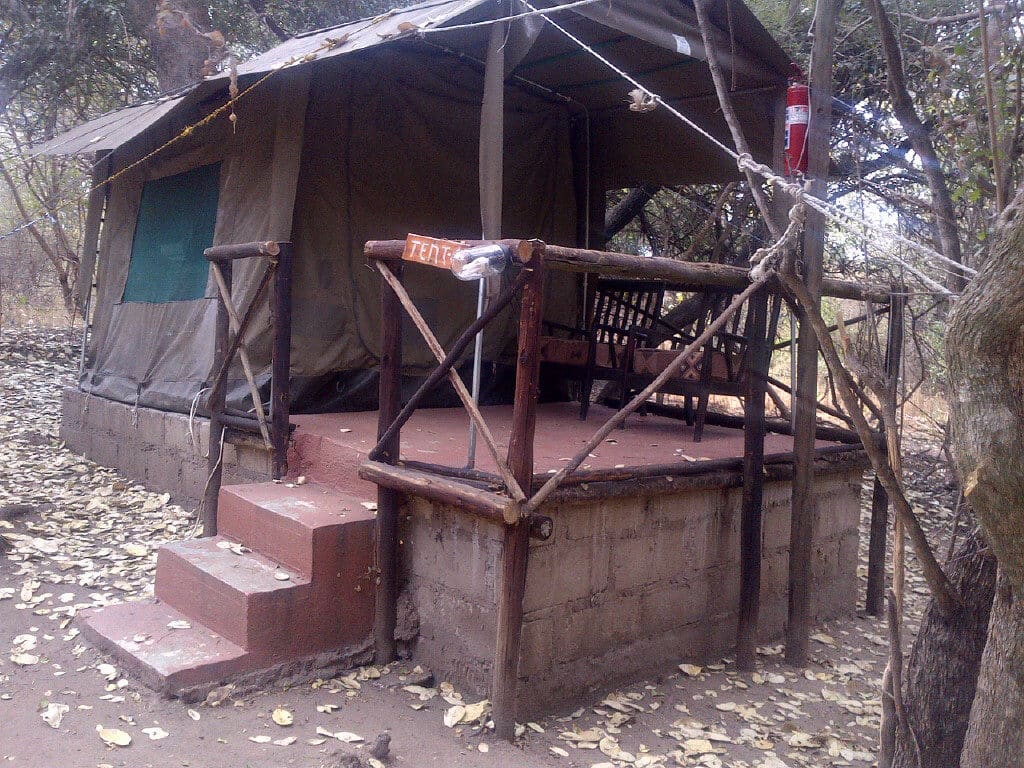 Marc's Treehouse Lodge 营地实景