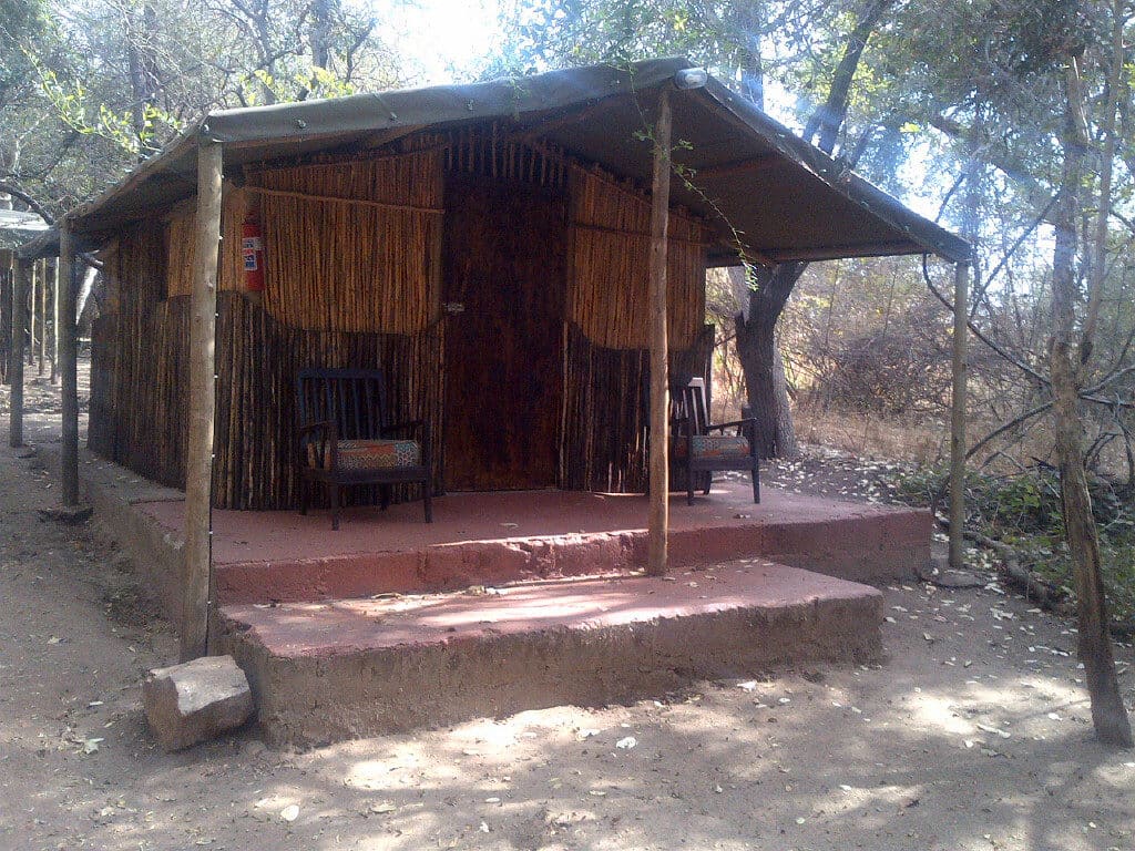 Marc's Treehouse Lodge 营地实景