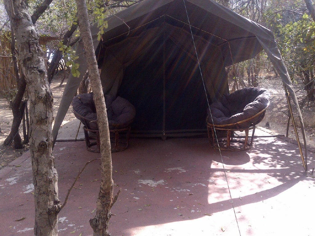 Marc's Treehouse Lodge 营地实景