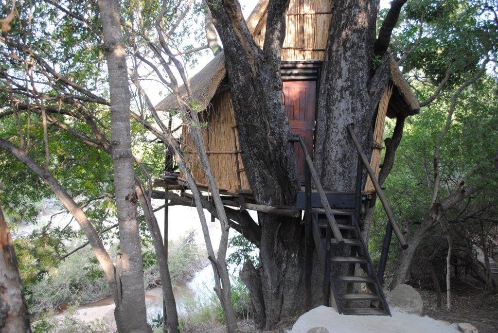 Marc's Treehouse Lodge 营地实景