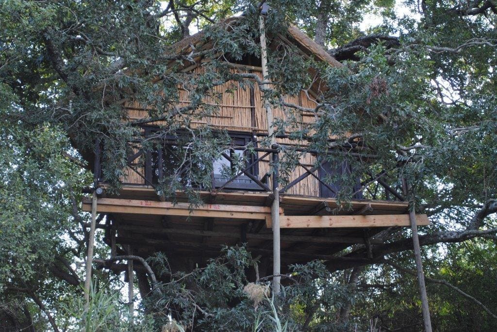 Marc's Treehouse Lodge 营地实景