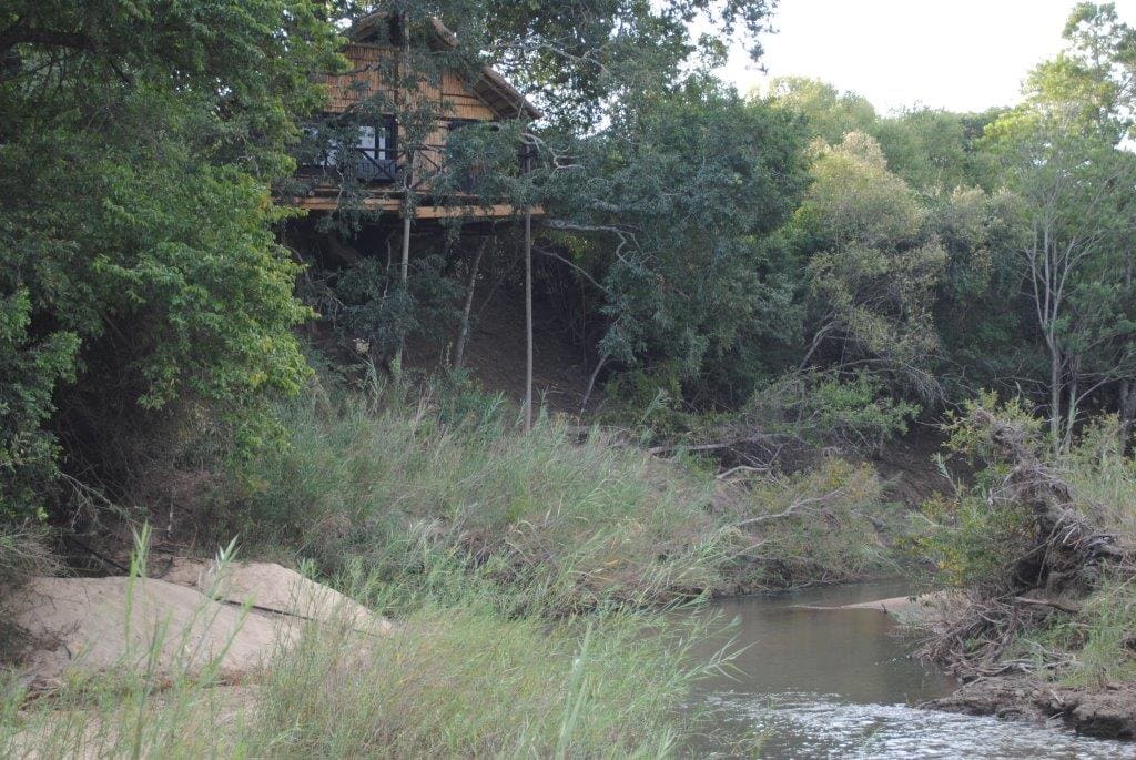 Marc's Treehouse Lodge 营地实景