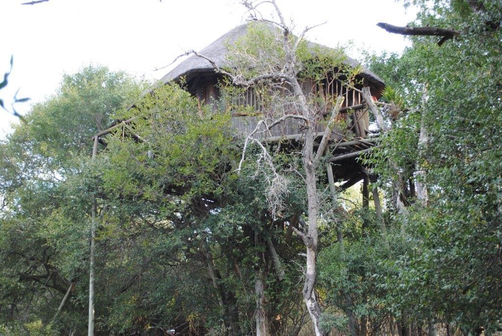 Marc's Treehouse Lodge 营地实景