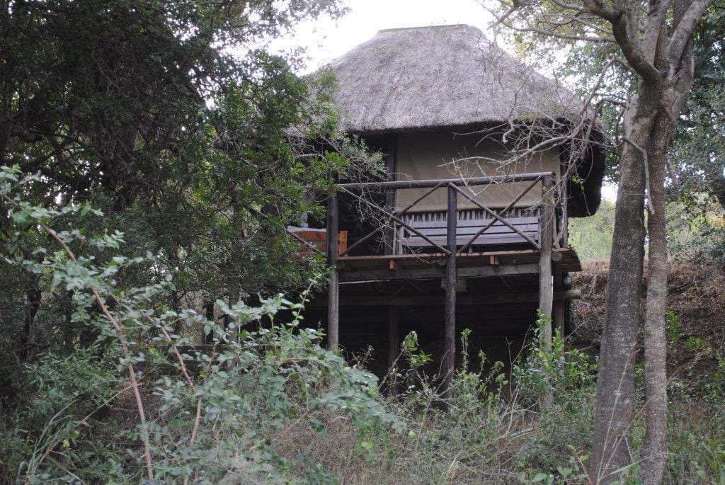 Marc's Treehouse Lodge 营地实景