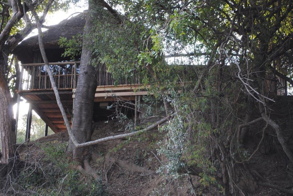 Marc's Treehouse Lodge 营地实景