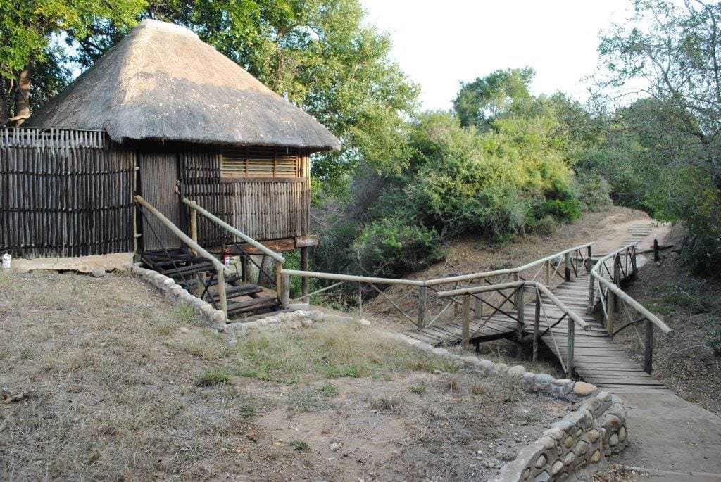 Marc's Treehouse Lodge 营地实景