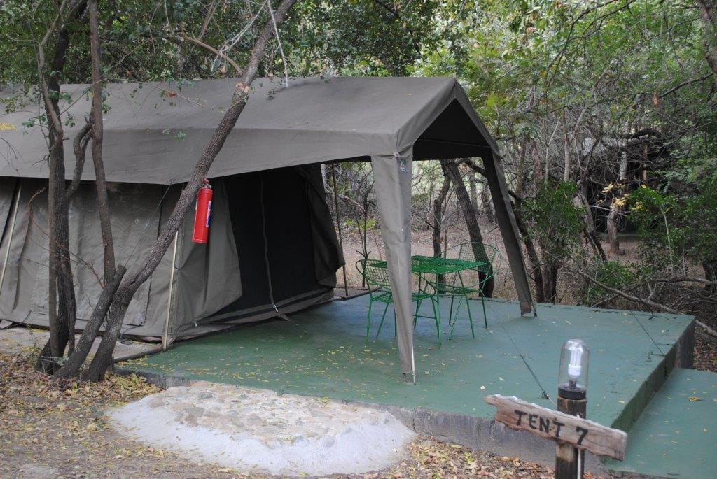 Marc's Treehouse Lodge 营地实景