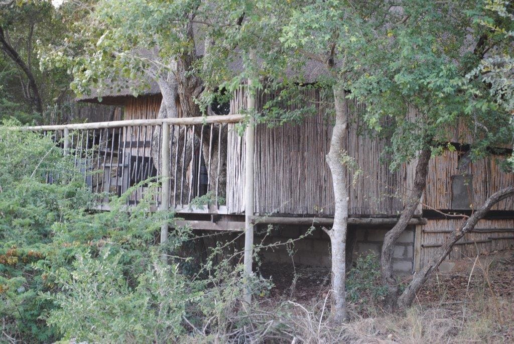 Marc's Treehouse Lodge 营地实景