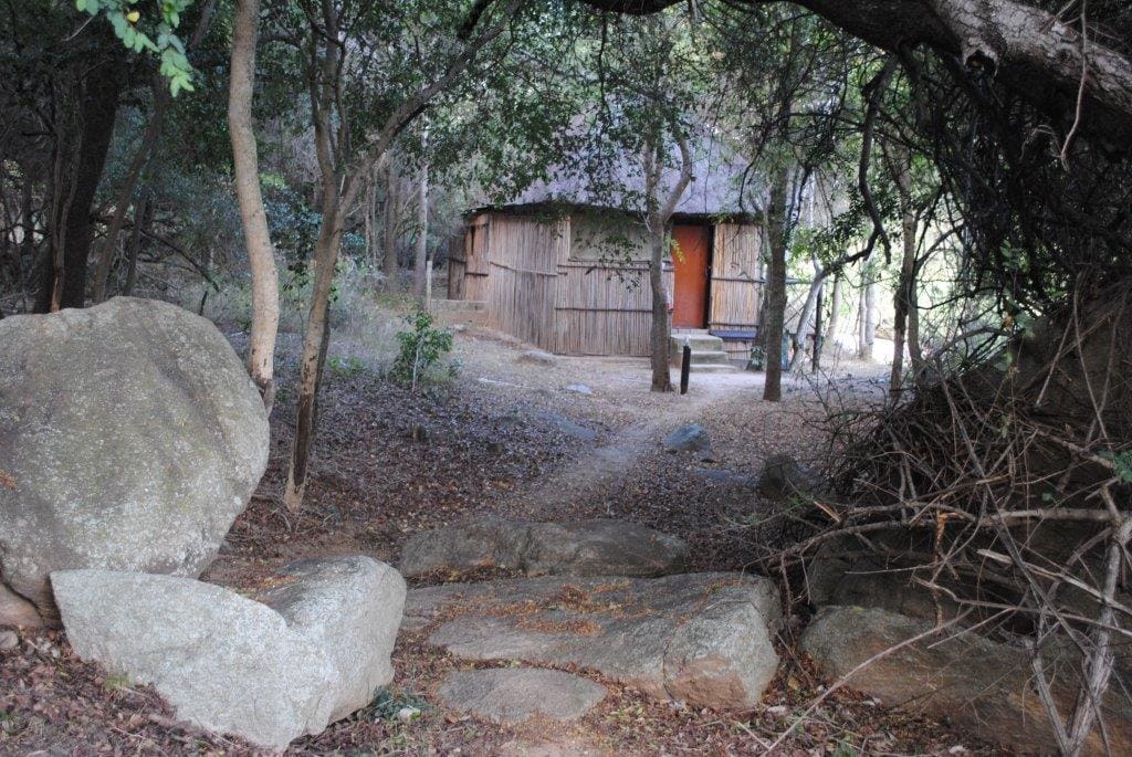 Marc's Treehouse Lodge 营地实景