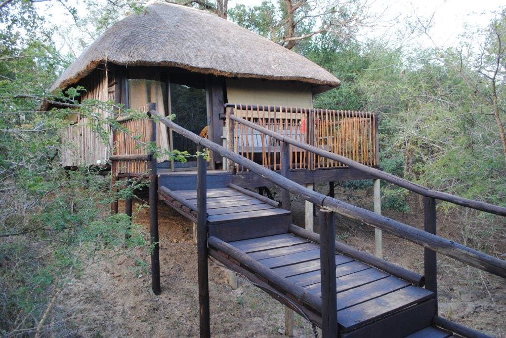 Marc's Treehouse Lodge 营地实景
