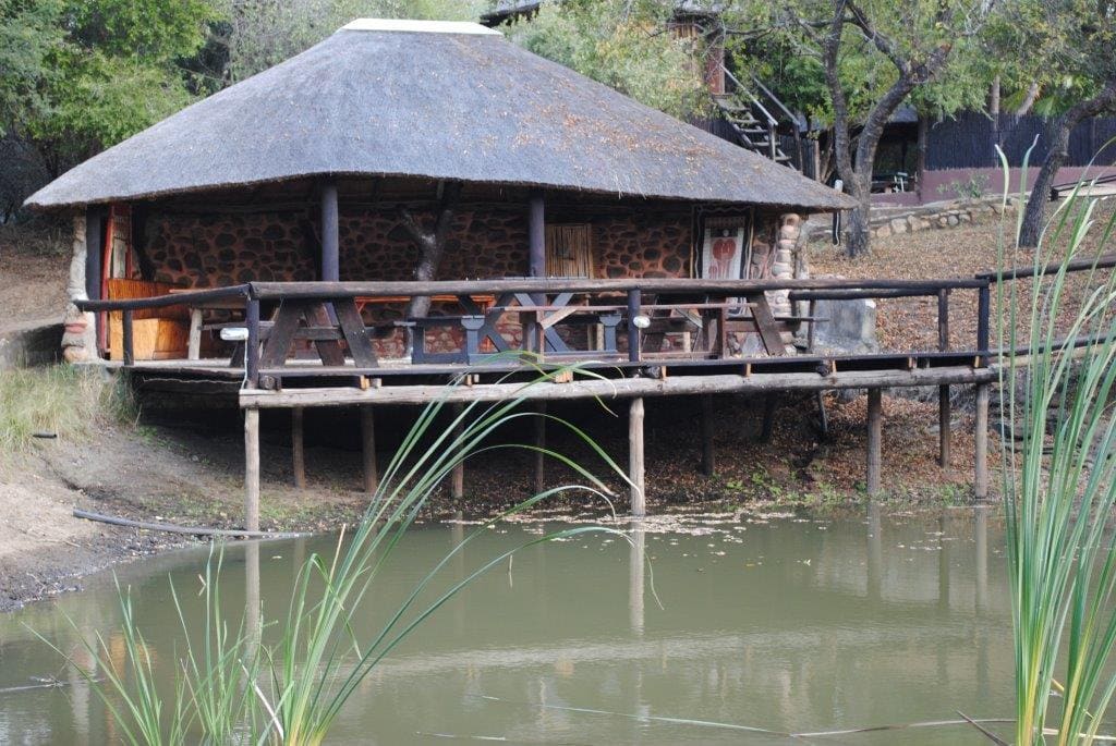 Marc's Treehouse Lodge 营地实景