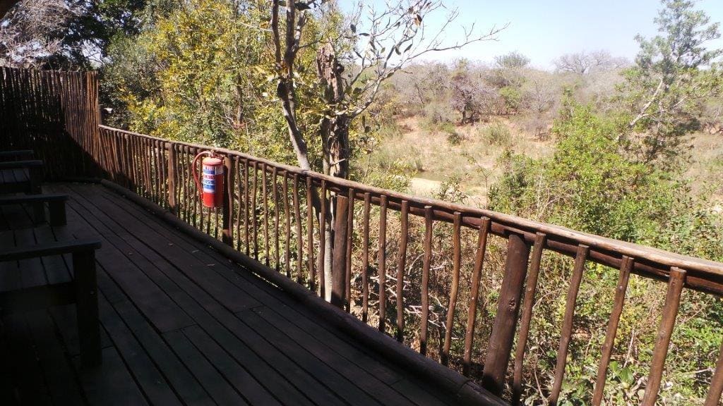 Marc's Treehouse Lodge 营地实景