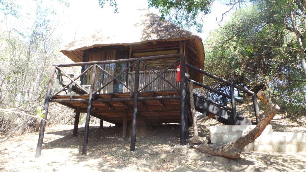 Marc's Treehouse Lodge 营地实景