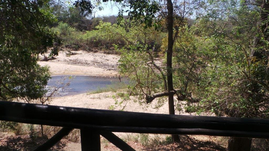 Marc's Treehouse Lodge 营地实景