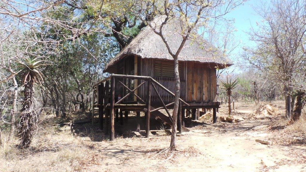 Marc's Treehouse Lodge 营地实景