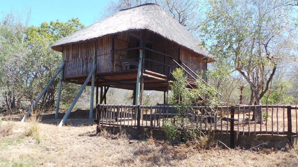 Marc's Treehouse Lodge 营地实景