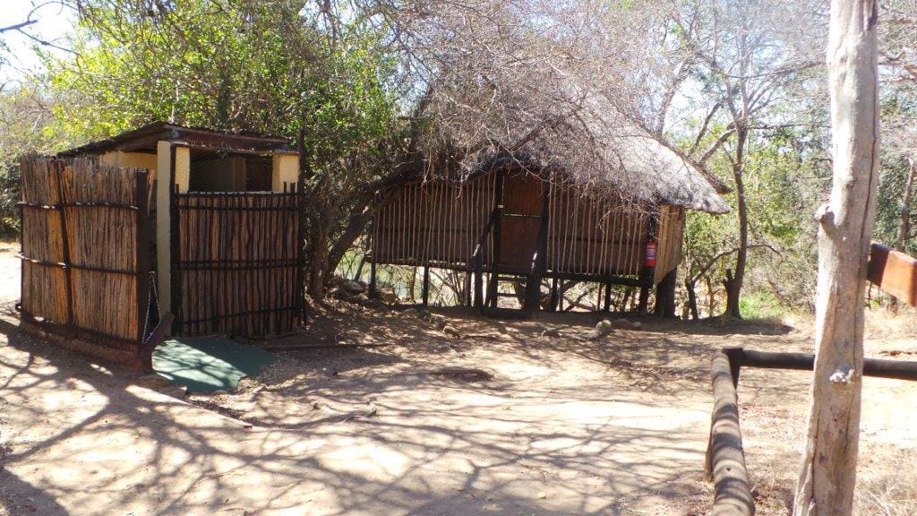 Marc's Treehouse Lodge 营地实景