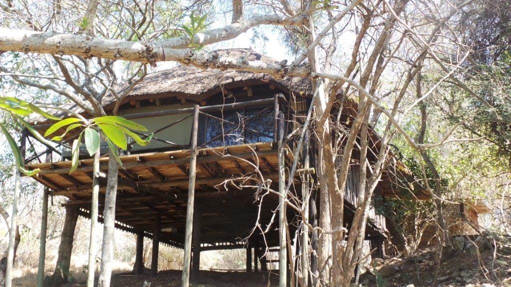 Marc's Treehouse Lodge 营地实景