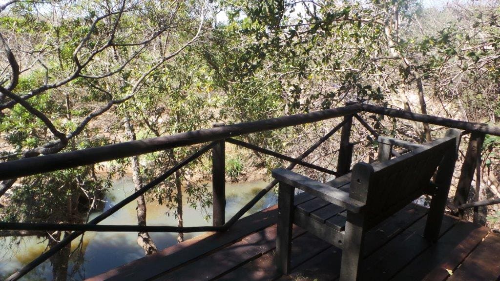 Marc's Treehouse Lodge 营地实景