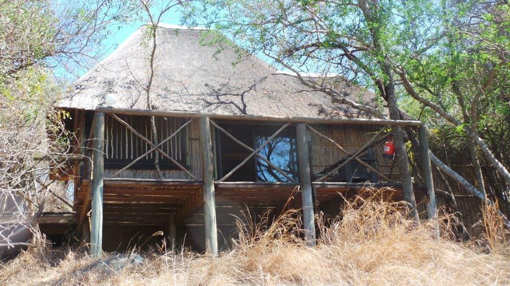 Marc's Treehouse Lodge 营地实景