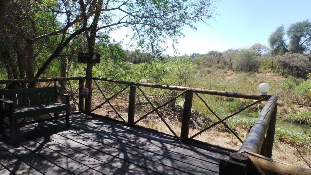 Marc's Treehouse Lodge 营地实景