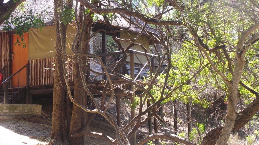 Marc's Treehouse Lodge 营地实景