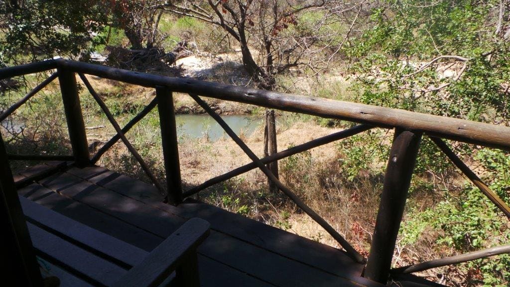 Marc's Treehouse Lodge 营地实景