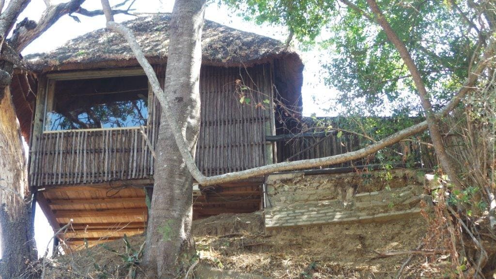 Marc's Treehouse Lodge 营地实景