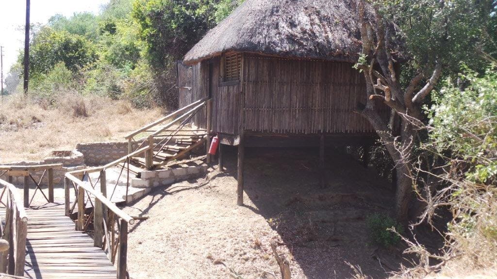 Marc's Treehouse Lodge 营地实景