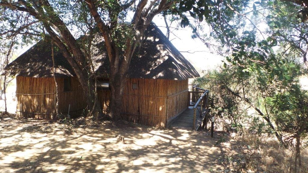 Marc's Treehouse Lodge 营地实景