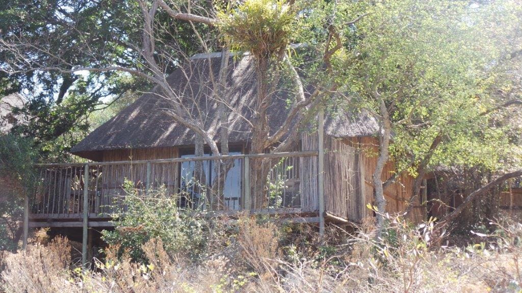 Marc's Treehouse Lodge 营地实景