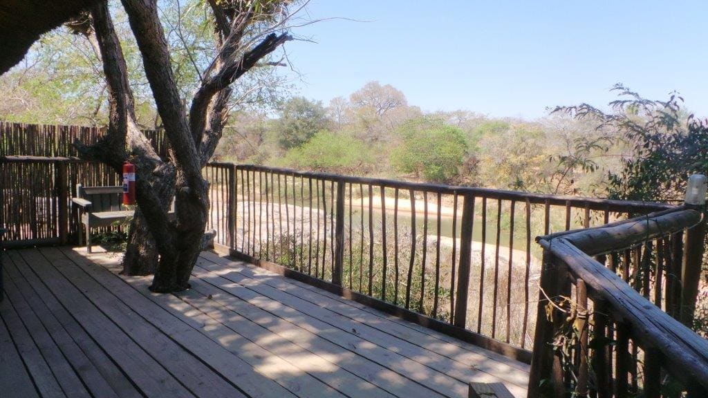 Marc's Treehouse Lodge 营地实景