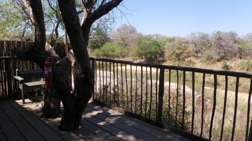 Marc's Treehouse Lodge 营地实景